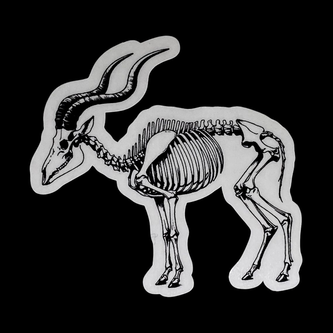 Antilope skeleton sticker