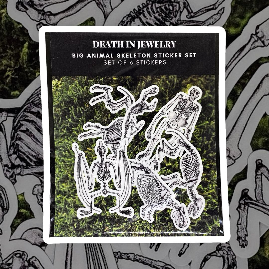 Big Animal Skeleton Sticker Set