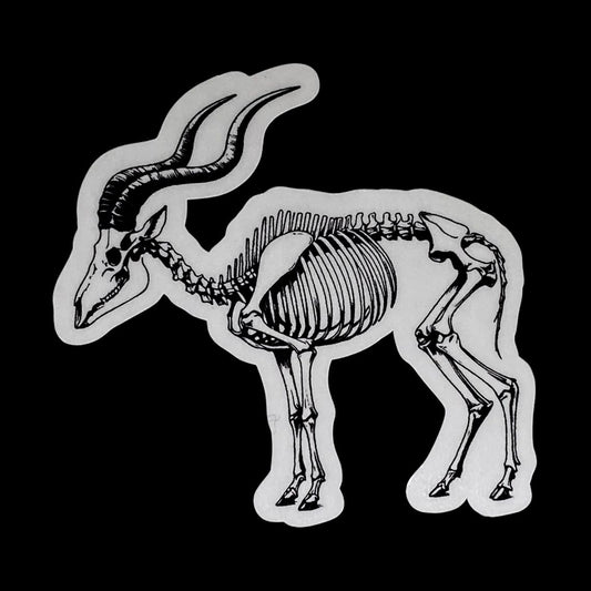 Antilope skeleton sticker