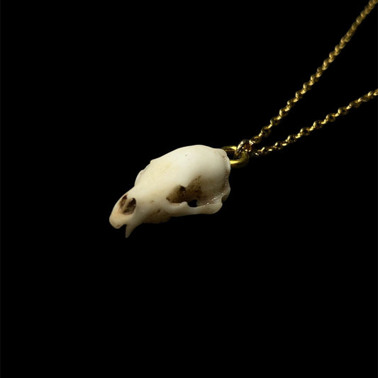 Bear skull necklace