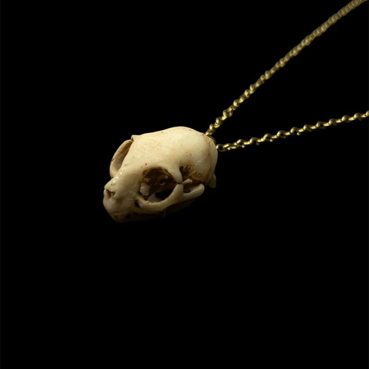 Cat skull necklace