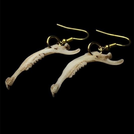 Moose jawbone earrings