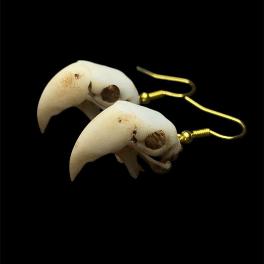Parrot skull earrings
