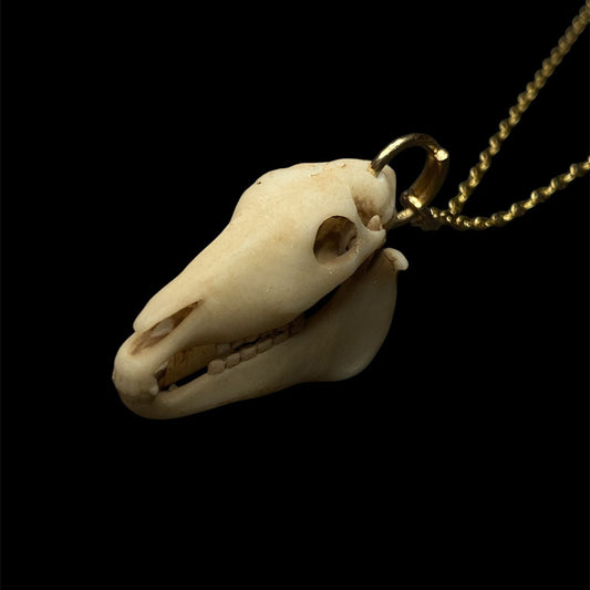 Horse skull necklace