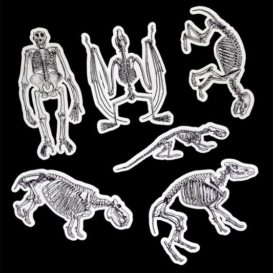 Big Animal Skeleton Sticker Set