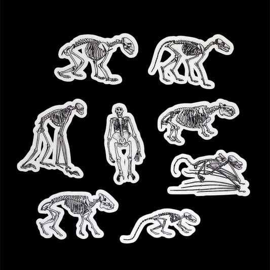 Small Animal Skeleton Sticker Set