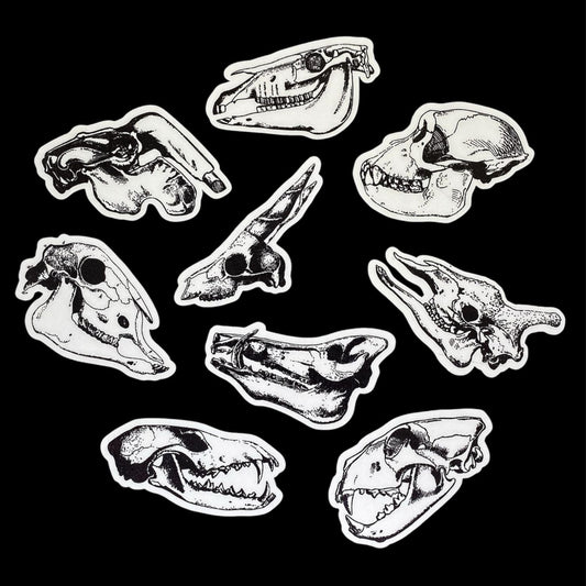 Animal Skull Sticker Set