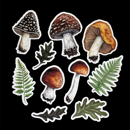 Big Mushroom Sticker Set